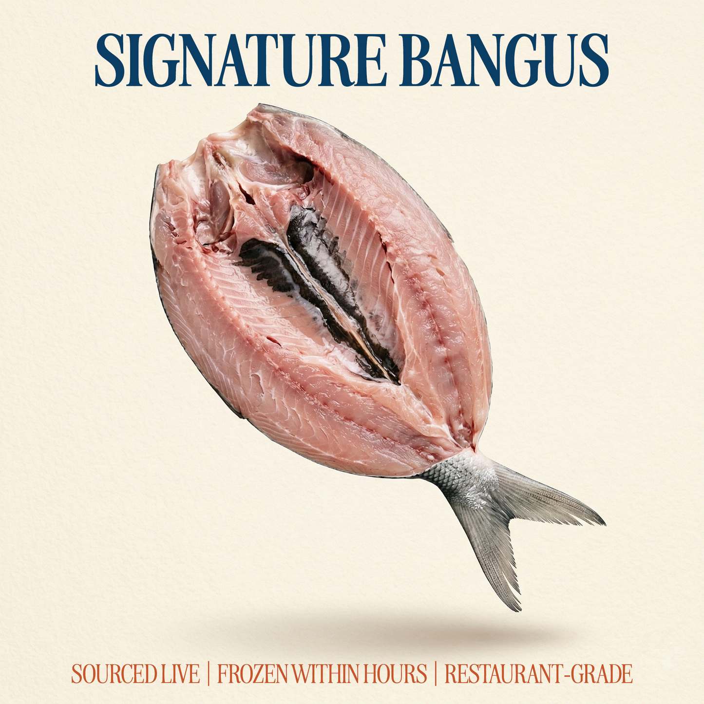 Signature Bangus