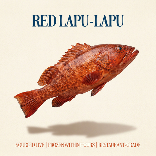 Red Lapu-Lapu