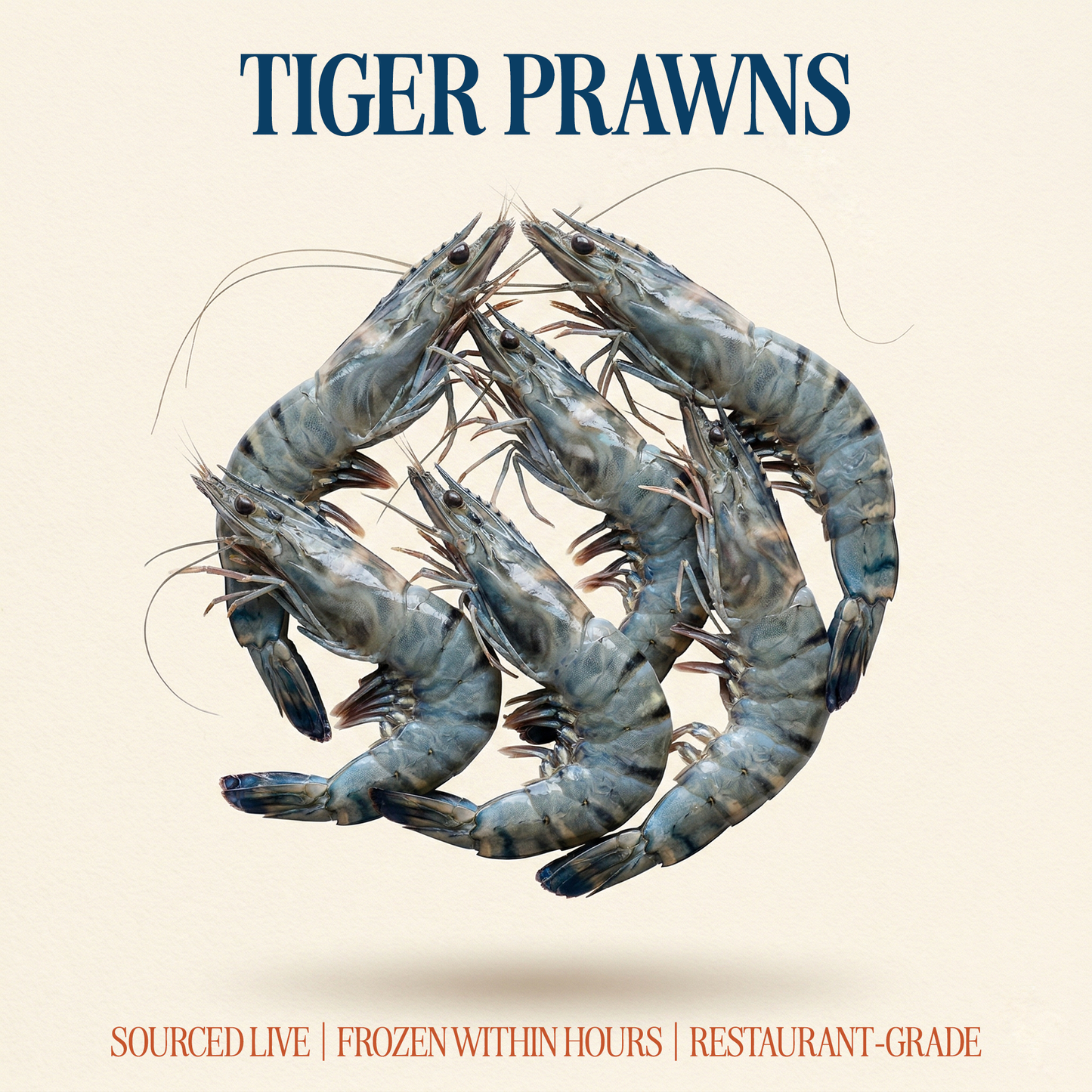 Tiger Prawns